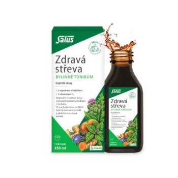 SALUS Zdravá střeva bylinné tonikum 250ml