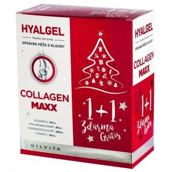 Hyalgel Collagen MAXX vánoční balení 2x500ml