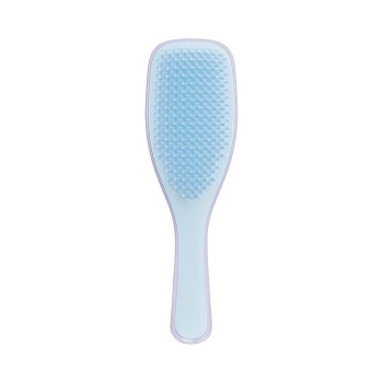 Tangle Teezer detangling hairbrush lilac&blue